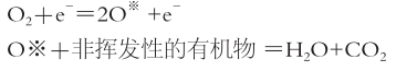 玉米视频app下载污免费机