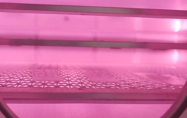 Plasma玉米视频app下载污免费机
